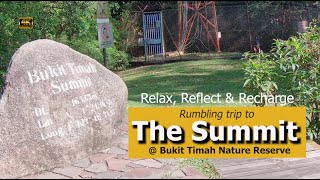 4k Rumbling trip to The Summit  Bukit Timah Nature Reserve [upl. by Euqinehs]