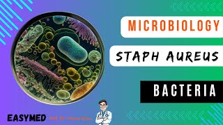 Staphylococcus Aureus  Microbiology EASYMED  DR USAMA KHAN [upl. by Kresic]