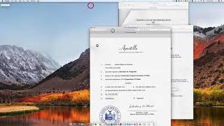 How to apostille a New York Certificate of Incorporation [upl. by Biron622]