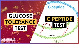 How Can a Glucose Tolerance Test amp Cpeptide Test Give Best Results  Mastering Diabetes [upl. by Siravart]