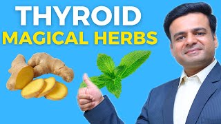 Top 5 Thyroid Boosting Herbs  Magical Herbs For Thyroid Health [upl. by Meeharbi]