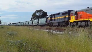 Australian Trains  Trains around Melbourne part 3 [upl. by Airtemak]