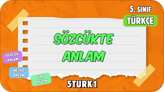 Sözcükte Anlam 📙 tonguçCUP 1Sezon  5TURK1 2024 [upl. by Ainuj770]