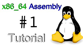 x8664 Linux Assembly 1  quotHello Worldquot [upl. by Christabelle974]