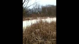 Brookfield East High School Nature Center Classtime [upl. by Agn]