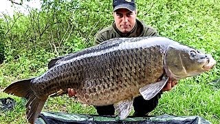 Carpfishing sul lago di Varese [upl. by Anaujait]