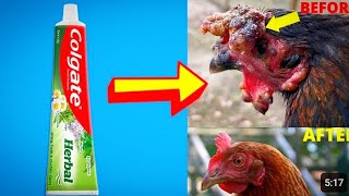 FOWL POX TREATMENT Using Toothpaste [upl. by Gambrill]