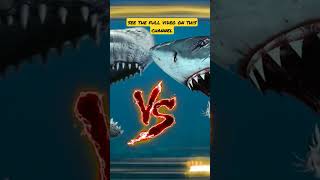 Megalodon vs Livyatan [upl. by Kalie]