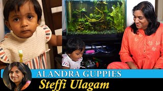 Planted Fish Tank Update Vlog in Tamil  Planted Aquarium in Tamil  Alandra Guppies [upl. by Iahcedrom]