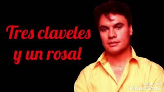 Tres claveles y un rosal letra Rich  Juan Gabriel [upl. by Akemak159]