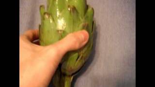 How to prepare cook and eat an artichoke and a review recipe [upl. by Tullusus325]