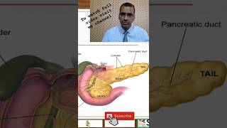 Pancreas nursingcompetition nursingschoolstudents nursingnotes anatomy [upl. by Hammock]