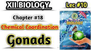 Gonads lec 10  Testes and Ovaries Chemical Coordination class 12 biology [upl. by Pontone824]