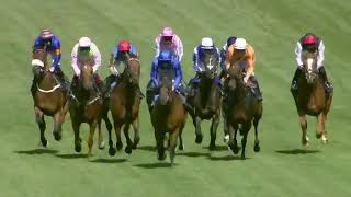 2024 ASCOT UK Gold Cup [upl. by Ayatnohs]