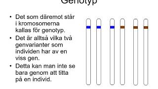 Nedärvning av gener1 för film [upl. by Enaitsirhc208]