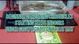 Beginner Gardening Chronicles Starting Seeds Indoors [upl. by Hilar475]