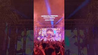 Galantis Live  Dandelion  2023 WDFWorld DJ Festival [upl. by Lielos114]