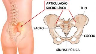 AVALIAÇÃO DOR SACROILÍACA EXAME FÍSICO TESTES PROVOCATIVOS Clínica de Fisioterapia Dr Robson Sitta [upl. by Ttocserp822]