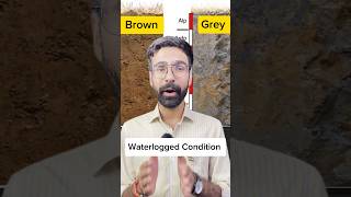 भारत में कृषि के लिए उपयुक्त मिट्टी  मिट्टी Soil Fluvisols inceptisols soilorder SoilTexture [upl. by Ahsiner]