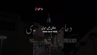 Duaon me meri khudaya asar de Naat 💕✨  naat naatsharif trending shorts ytshorts [upl. by Evette851]