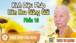 Kinh Diệu Pháp Liên Hoa Giảng Giải phần 10  Thầy Thích Trí Quảng giảng pháp [upl. by Amberly980]