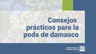 Consejos prácticos para poda de damasco [upl. by Inanak469]