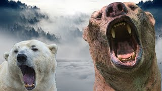 Largest Extinct Bear VS Living Bears [upl. by Haidadej]