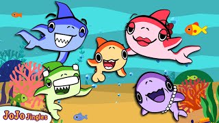 ✨NEW Baby Shark Doo doo Song BEST Doo Doo Doo Song jojojingles [upl. by Aphra]