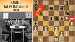 The Calm Before The Storm  Tal vs Botvinnik 1960  Game 5 [upl. by Eelimaj]