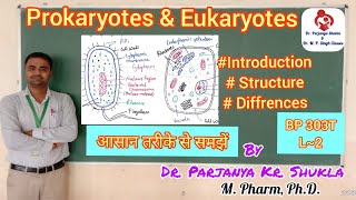 Introduction to Prokaryotes amp Eukaryotes  Differences in Prokaryotic amp Eukaryotic CellsBP 303T L2 [upl. by Namreh]