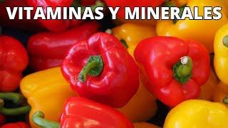 ¿Cuáles son las VITAMINAS y MINERALES del Pimiento Morrón Beneficios y tipos de PIMIENTO MORRÓN [upl. by Salba]