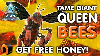 EASY QUEEN BEE TAME amp GET HONEY ARK Survival Ascended [upl. by Aryan]