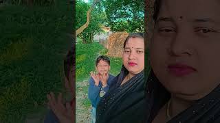 नंनद का राज 🤣comedy funny trendingvideo sorts youtubevideos trending viralvideo [upl. by Eirrem]