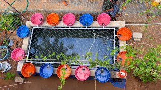 Simple Aquaponics വീടിന്റെ ഉമ്മറത്തിനടുത്തൊരു അക്വാപോണിക്സ് [upl. by Naillimixam]