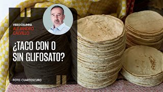 ¿Taco con o sin glifosato Usted elige Por Alejandro Calvillo  Video columna [upl. by Philips89]