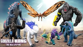 Unboxing EVERY Godzilla X Kong WAVE 2 Toy The New Empire Merch [upl. by Anitnauq]