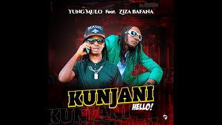 Ziza Bafana  KUNJANI Ft Yung MuloMusic Visualizer [upl. by Kath]