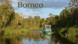 House boatTour in the jungle of Borneo  Kalimantan  Indonesia [upl. by Cox]