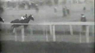 Man o War  1920 Kenilworth Park Gold Cup Partial [upl. by Modesty931]