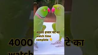 main tota main tota🤗parrotsinging parrottalking fantasticparrot dailyvideoblog talkingparrort [upl. by Brett]