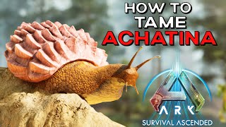 Ark Survival Ascended  How To Tame ACHATINA  Snail  Best Cementing paste Alt [upl. by Salomi246]