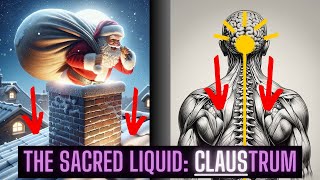 CLAUStrum The Sacred Brain Part 100 Cell Regenerator [upl. by Mcloughlin]