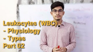 Physiology of Leukocytes  types of white blood cells  Part 2 [upl. by Aneri403]