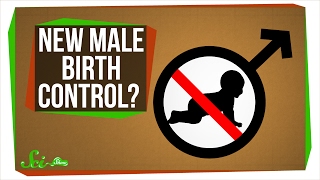 A New Male Birth Control [upl. by Eimmelc]