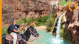 Havasupai tribe Native American Indian guardians of the Grand Canyon [upl. by Nannie]