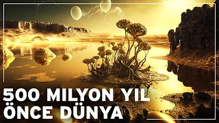 Dünya 500 milyon yıl önce nasıl bir yerdi  Dünyanın Belgesel Tarihi [upl. by Aikan]