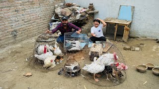 Mini zoo khatam kr deya 🥺  sary pets ko mini zoo se ly gaye hmm 😭  Ali bht sad ho gaya [upl. by Hendrickson]