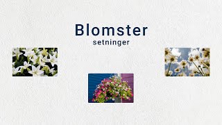 Tema Blomster A2 Setninger levitator norsk norskkurs norwegian blomster sommer ferie hagen [upl. by Lockhart]