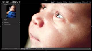 Lightroom 5 Cómo hacer Zoom en Lightroom [upl. by Cherish]