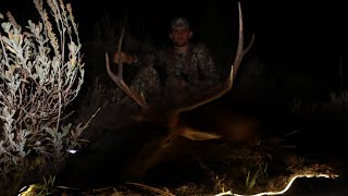 2023 Elk Hunting in the Back Country of Idaho [upl. by Isteb967]